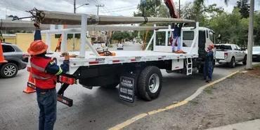 Camión con postes de concreto en campo verde
