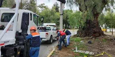 Trabajadores instalando postes de concreto